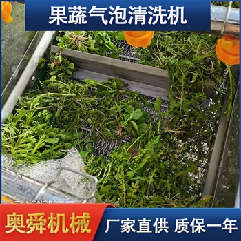 蔬菜清洗机 奥舜机械菠菜芹菜清洗机 叶菜清洗设备