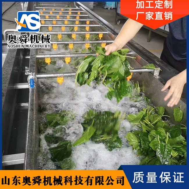 果蔬清洗机 茴香清洗机 山野菜气泡清洗设备